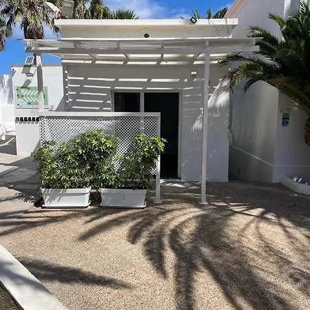 Punta Elena קורלחו